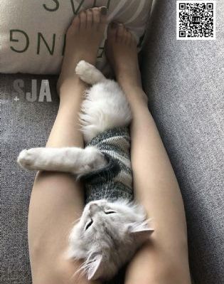 番茄短视频追剧app_BD韩语免费在线播放