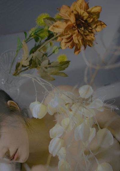 sese欧美_720免费高清观看