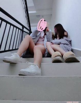 藏海花全集_超清在线播放观看